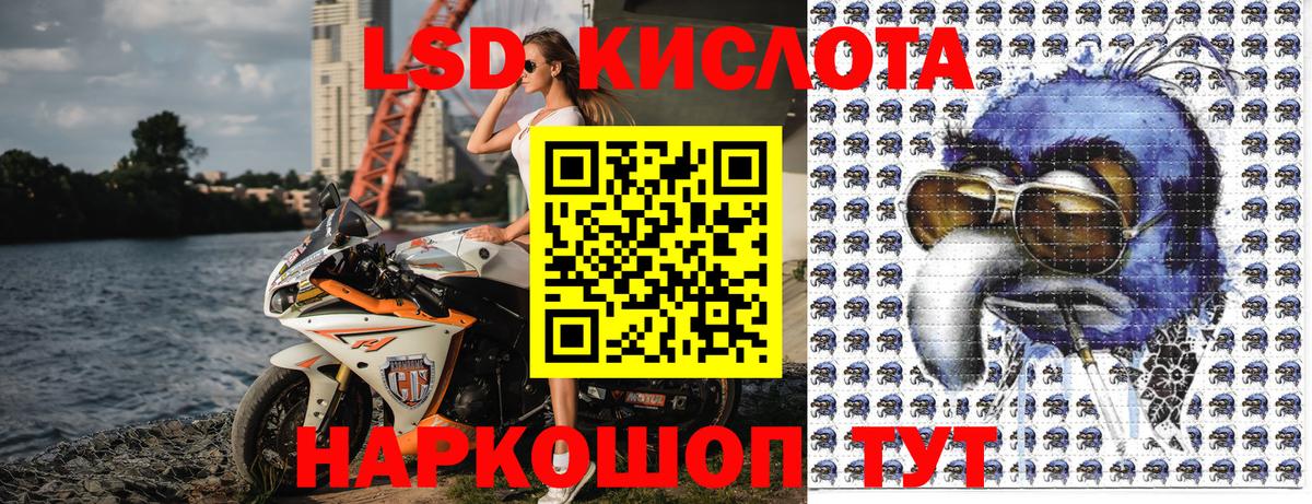 Наркотические марки 1500мкг  Вход с VPN  Электрогорск  Наркотические марки 1500мкг 