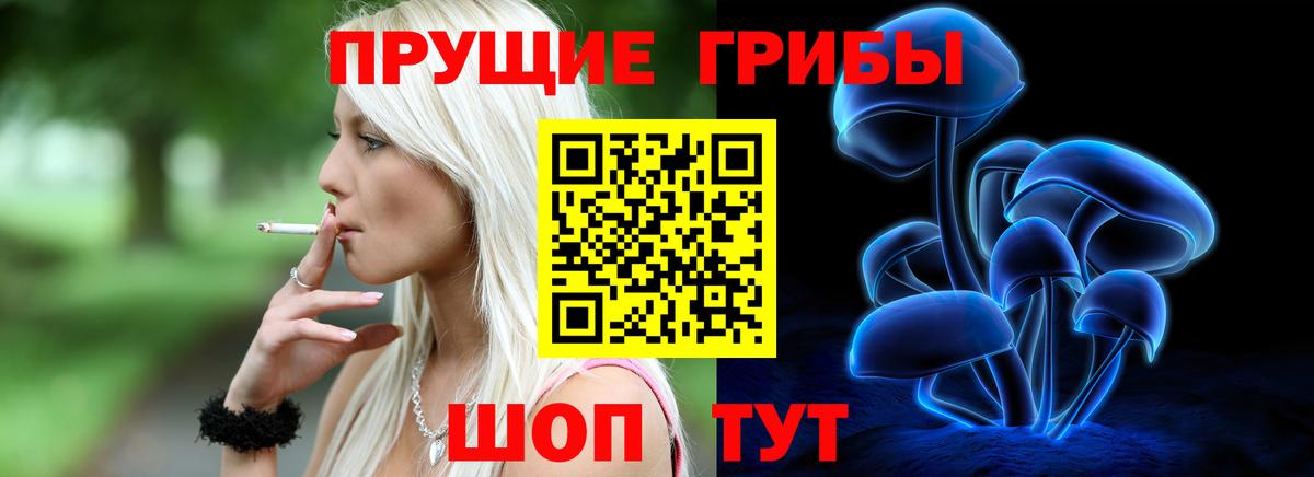 Электрогорск  Псилоцибиновые грибы прущие грибы  Галлюциногенные грибы мухоморы  Вход с VPN 
